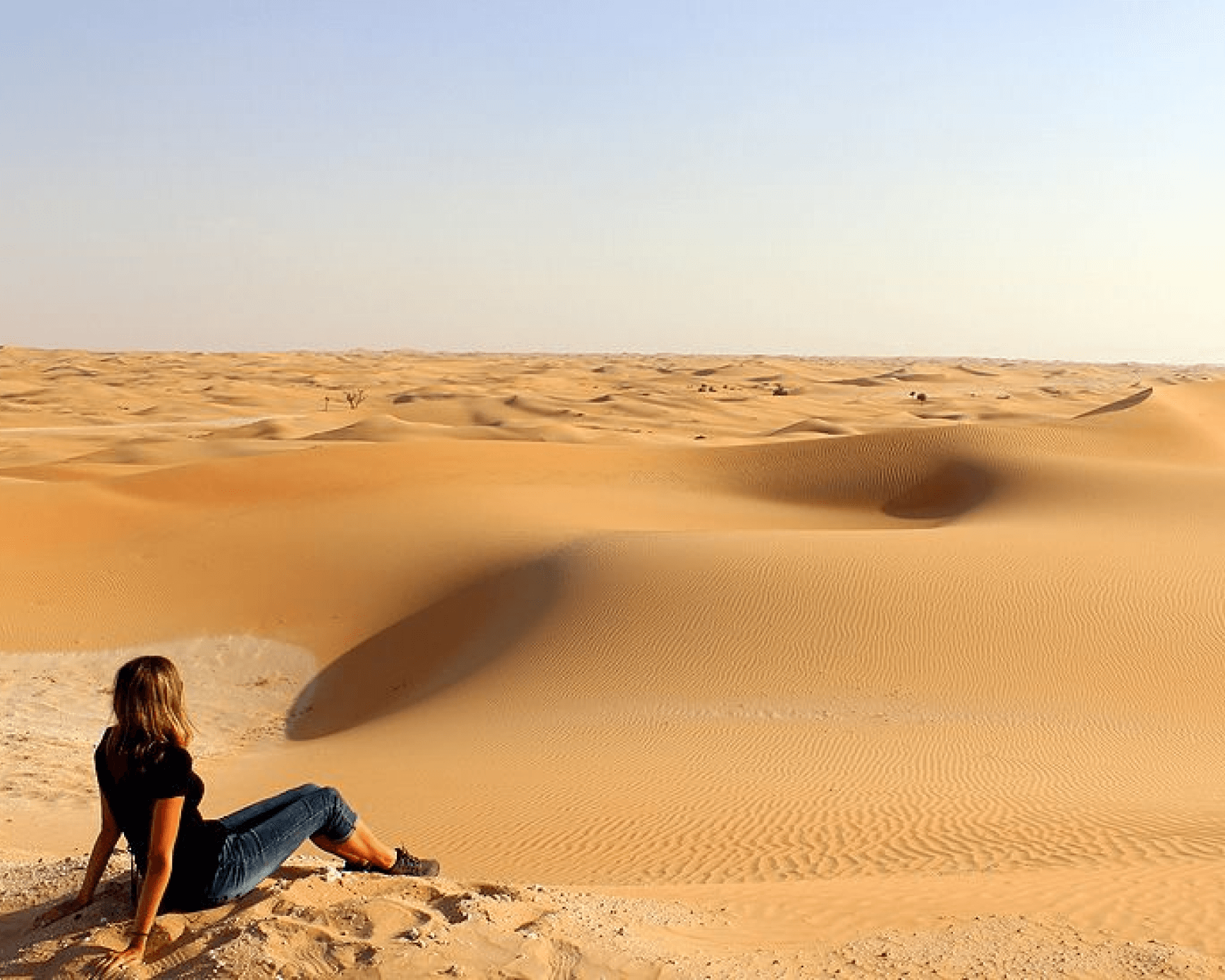 Black Rock Desert Image