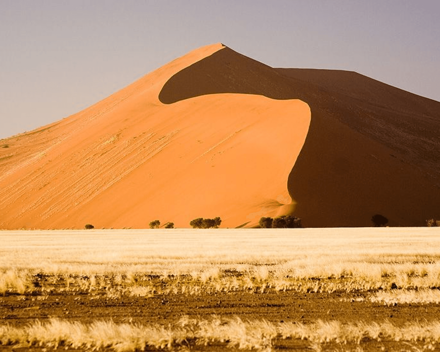 Namib Desert Image