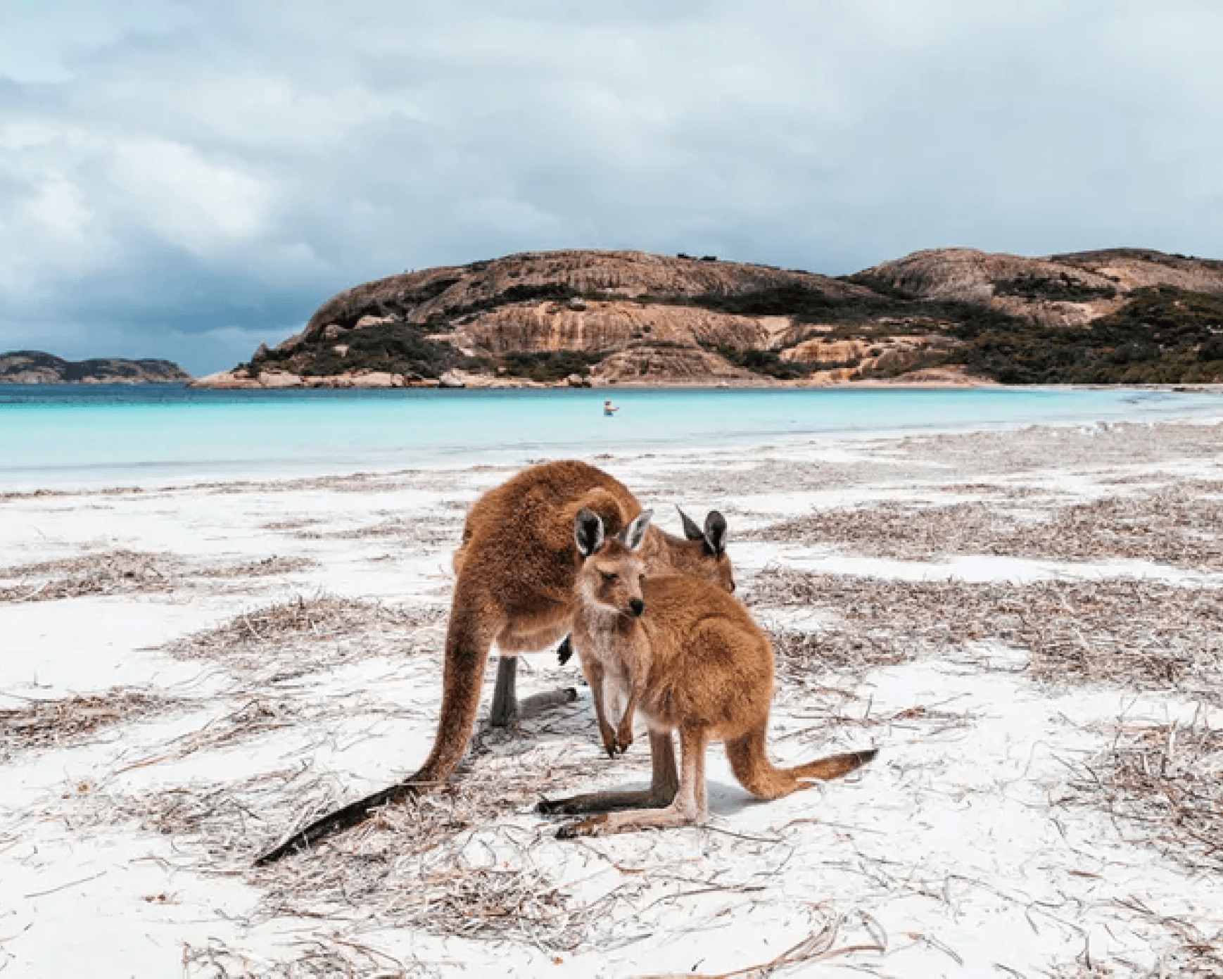 Cape Le Grand National Park Image