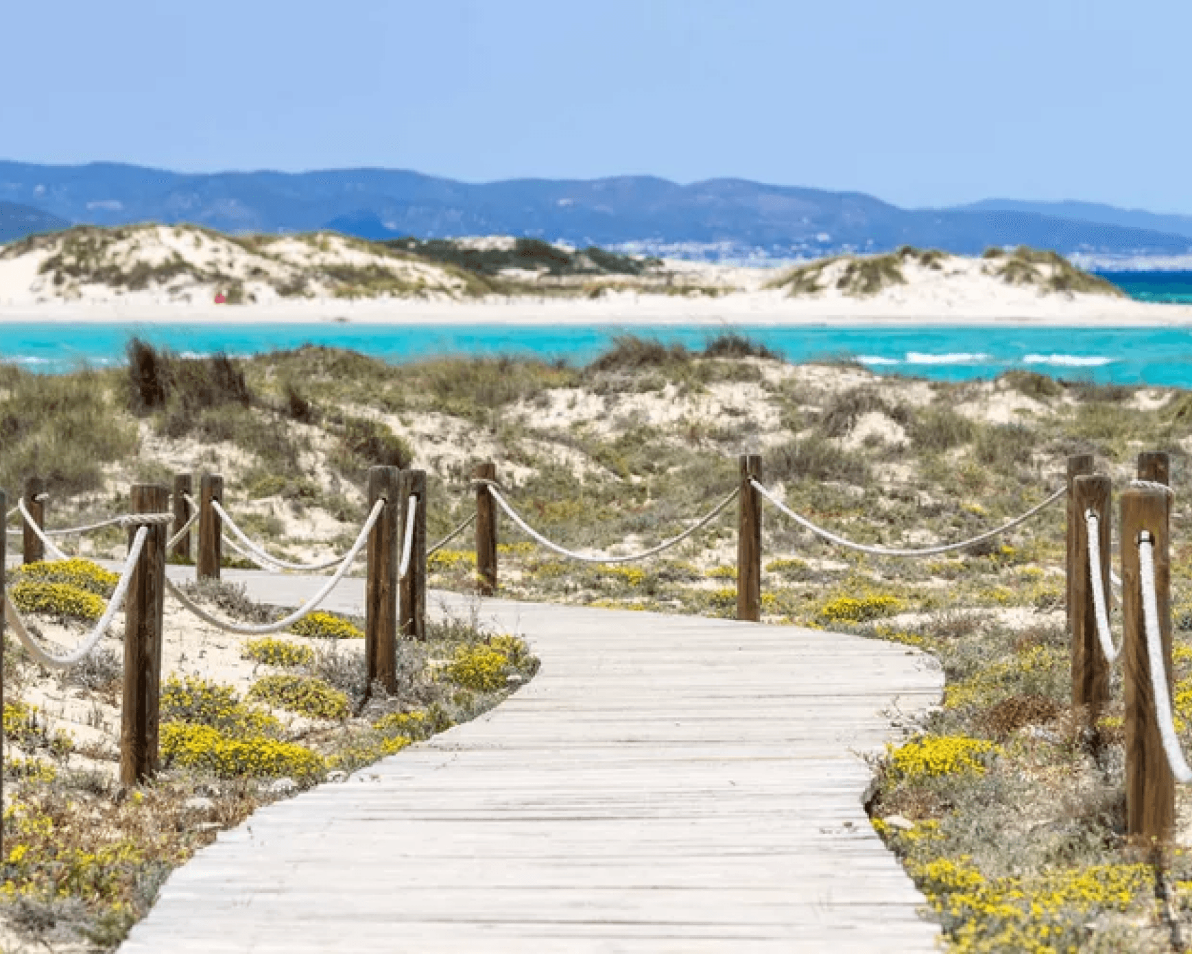 Platja de Ses Illetes Image